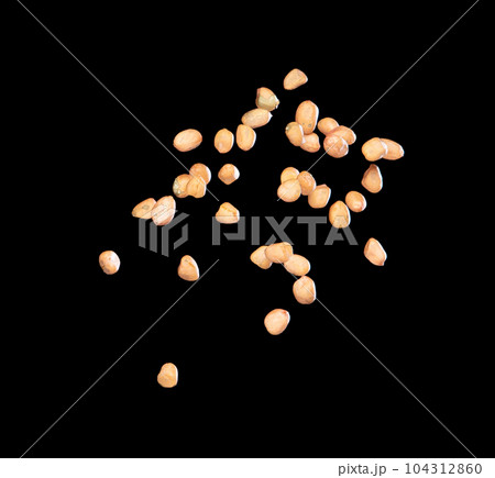 Peanut flying explosion, brown grain peanuts explode abstract cloud fly. Beautiful complete seed pea peanut splash in air, food object design. Selective focus freeze shot black background isolated Peanut flying explosion, brown grain peanuts explode abstract cloud fly. Beautiful complete seed pea peanut splash in air, food object design. Selective focus freeze shot black background isolated 104312860
