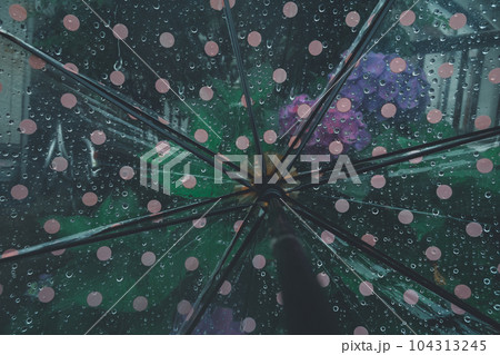raining raining 104313245