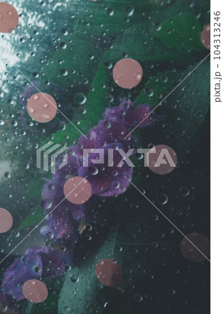 raining raining 104313246