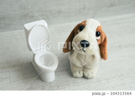 犬のぬいぐるみとトイレ 犬のしつけのイメージ素材 犬のぬいぐるみとトイレ 犬のしつけのイメージ素材 104313564