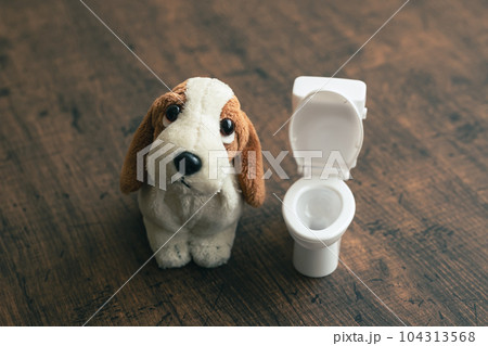 犬のぬいぐるみとトイレ 犬のしつけのイメージ素材 犬のぬいぐるみとトイレ 犬のしつけのイメージ素材 104313568