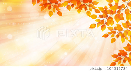 紅葉　葉　秋　背景 104313784