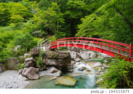 夕森公園の赤いもみじ橋(岐阜県中津川市) 夕森公園の赤いもみじ橋(岐阜県中津川市) 104313875