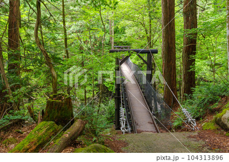 阿寺渓谷の赤彦吊り橋 阿寺渓谷の赤彦吊り橋 104313896