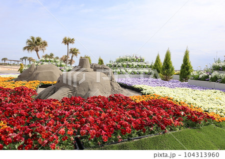 オシャレなお花見みやざき臨海公園 104313960