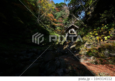 秋の天岩戸神社 104314112
