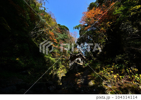 秋の天岩戸神社 秋の天岩戸神社 104314114