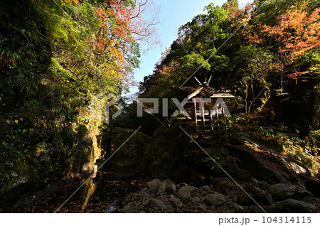 秋の天岩戸神社 秋の天岩戸神社 104314115