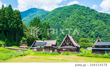 五箇山・菅沼合掌造り集落(夏) 五箇山・菅沼合掌造り集落(夏) 104314578