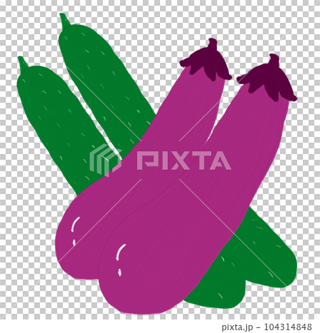 eggplant and cucumber eggplant and cucumber 104314848