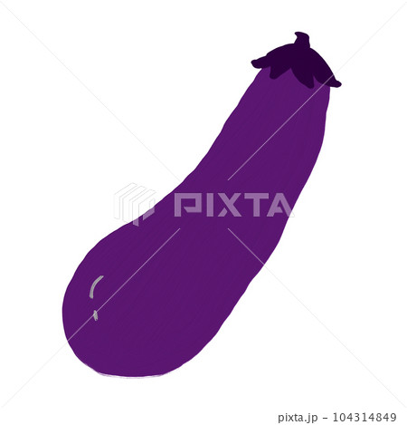 茄子、夏野菜、秋茄子 104314849