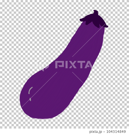 茄子、夏野菜、秋茄子 104314849