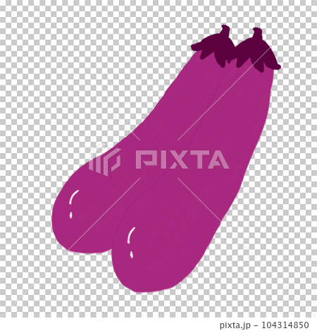 2 eggplants 104314850