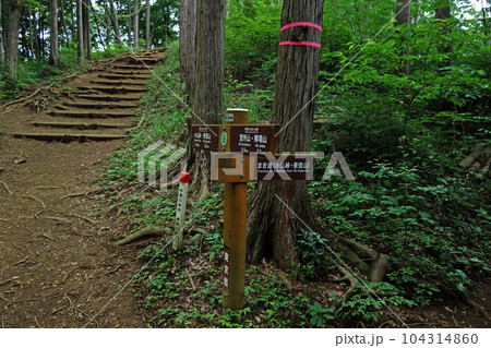 陣馬山～景信山（まき道道標）（神奈川県相模原市） 104314860