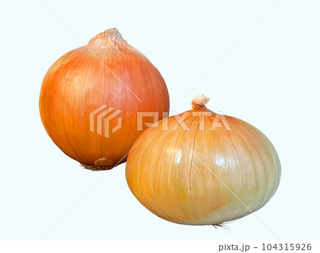 【ホワイトバック】野菜の玉ネギ2個 104315926