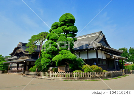 埼玉県指定史跡の川越城 104316248
