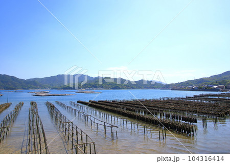 倉橋島で多く見られる牡蠣養殖 104316414