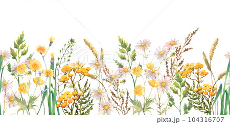 Seamless border with Herbs and wild flowers, leaves, butterflies. Botanical Illustration on white background. Template with place for text. Seamless border with Herbs and wild flowers, leaves, butterflies. Botanical Illustration on white background. Template with place for text. 104316707
