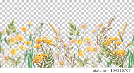 Seamless border with Herbs and wild flowers, leaves, butterflies. Botanical Illustration on white background. Template with place for text. 104316707