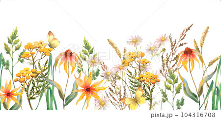 Seamless border with Herbs and wild flowers, leaves, butterflies. Botanical Illustration on white background. Template with place for text. Seamless border with Herbs and wild flowers, leaves, butterflies. Botanical Illustration on white background. Template with place for text. 104316708