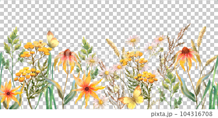 Seamless border with Herbs and wild flowers, leaves, butterflies. Botanical Illustration on white background. Template with place for text. 104316708