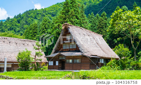 五箇山・菅沼合掌造り集落（夏） 104316758
