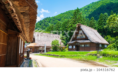 五箇山・菅沼合掌造り集落（夏） 104316762