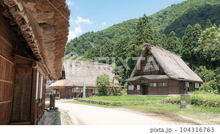 五箇山・菅沼合掌造り集落(夏) 五箇山・菅沼合掌造り集落(夏) 104316763