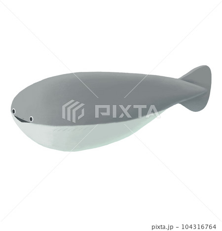 手描きのサカバンバスピスのイラスト 手描きのサカバンバスピスのイラスト 104316764