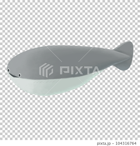 手描きのサカバンバスピスのイラスト 手描きのサカバンバスピスのイラスト 104316764