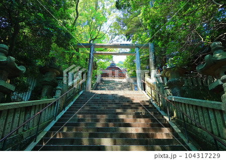 【香川県】早朝の「こんぴらさん」金刀比羅宮（御前四段坂から見た御本宮拝殿） 104317229