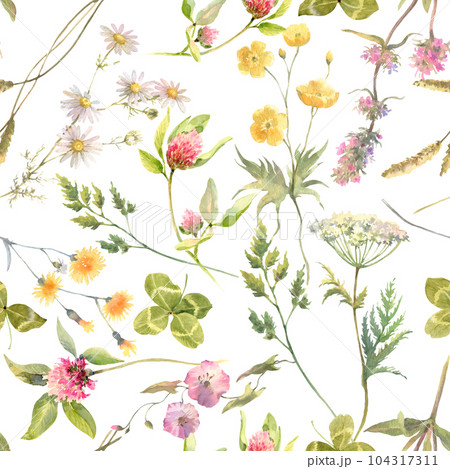 Floral watercolor pattern with flowers isolated on white background. Summer meadow. Delicate watercolor textile print. 104317311