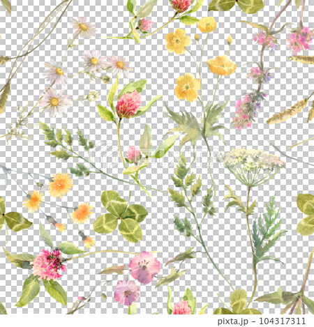 Floral watercolor pattern with flowers isolated on white background. Summer meadow. Delicate watercolor textile print. 104317311