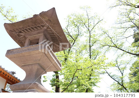 信州の真田まつり 青空と新緑の上田城 104317795