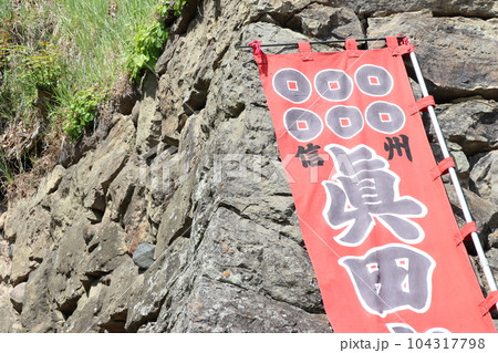 信州の真田まつり 青空と新緑の上田城 104317798