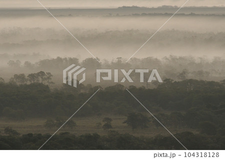 釧路湿原を流れる霧（北海道・鶴居村） 104318128