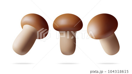 3d Ripe Mushroom Champignon in Different Angles 3d Ripe Mushroom Champignon in Different Angles 104318615