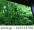 竹林のある縁側 104318706