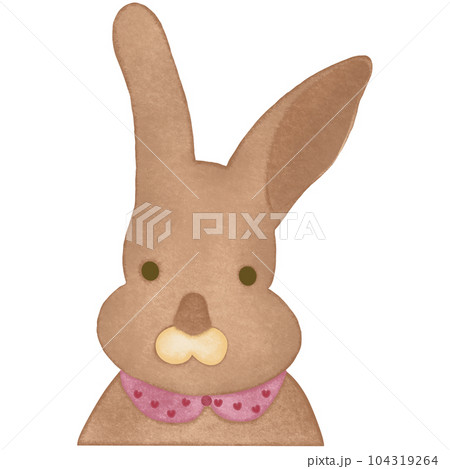 The Delightful Charm of a Cute Bunny 104319264
