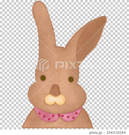 The Delightful Charm of a Cute Bunny 104319264