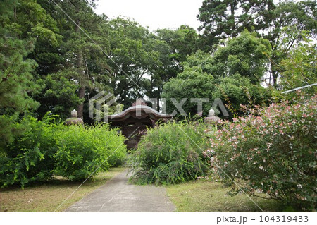 新緑の称念寺 新緑の称念寺 104319433