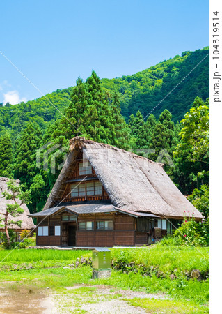 五箇山・菅沼合掌造り集落（夏） 104319514