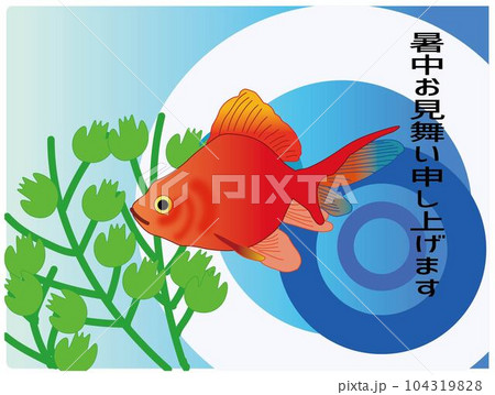 暑中見舞い(金魚) 暑中見舞い(金魚) 104319828