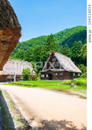 五箇山・菅沼合掌造り集落(夏) 五箇山・菅沼合掌造り集落(夏) 104319854