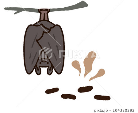 コウモリと糞害 104320292