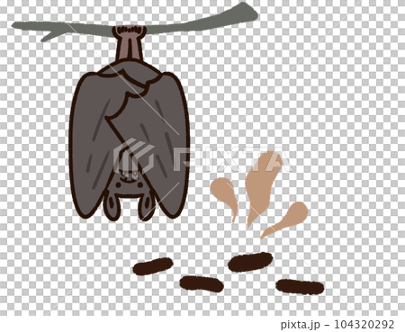 コウモリと糞害 104320292