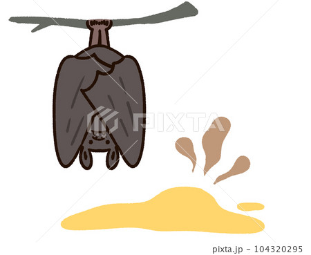 コウモリと臭い尿 104320295