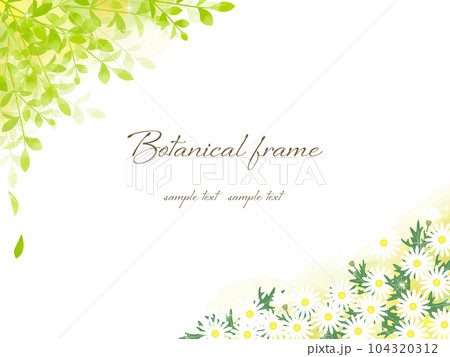木漏れ日の下でマーガレットの花が咲き乱れるナチュラルで優しいフラワーフレーム背景イラスト 104320312