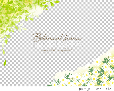 木漏れ日の下でマーガレットの花が咲き乱れるナチュラルで優しいフラワーフレーム背景イラスト 104320312