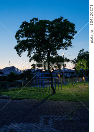 住宅街の公園にて　街灯に照らされ影を作る街路樹① 104320871
